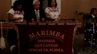 Marimba Maderas que Cantan quotTehuantepecquot [upl. by Cammie]