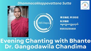 Daily Evening Chanting with Bhante Dr G Chandima 🙏 [upl. by Yznel]