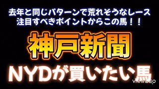 神戸新聞展開予想。今年も荒れるのでは？ [upl. by Cadman302]