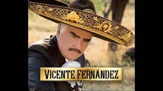 NECESITO DE TI  VICENTE FERNANDEZ [upl. by Siro]