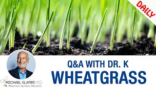 Wheatgrass  The Many Benefits Of Wheatgrass Juice [upl. by Rickey]