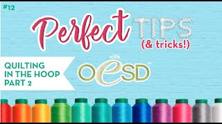 Quilting in the hoop part 2  Quilting with Your Embroidery Machine  Perfect Tips Episode 12 [upl. by Eedolem965]