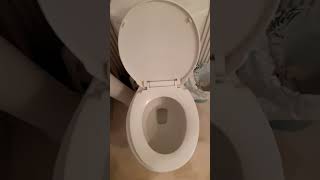 “🤣 Toilet Fails Try Not to Laugh Challenge 🚽😂  10 Takes Later”shortsviral toilet humor [upl. by Irrak]