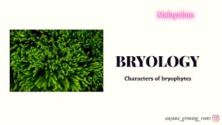 BRYOLOGY  Malayalam  Characters Of Bryophytes  Amphibians Of The plant kingdom [upl. by Einram]