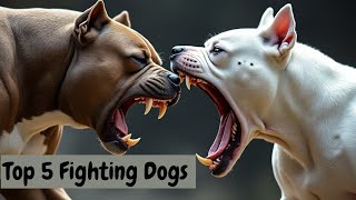 TOP 5 FIGHTING dogs [upl. by Danny67]