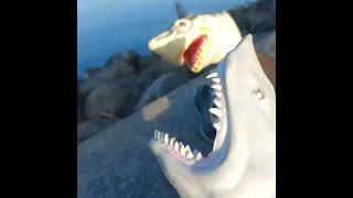 shark puppet moa seaside [upl. by Royall]