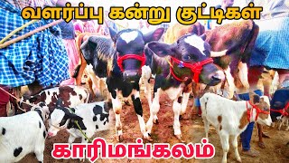 karimangalam cow market Biggest HF cow Jersey cow market Dharmapuri district [upl. by Magulac865]