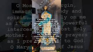 Prayer to Our Lady of Immaculate Conception 🙏  Powerful Meditation Prayer immaculateconception [upl. by Enirtak74]