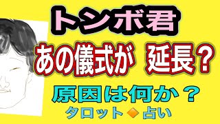 【占い】おぼったま君‼️👑例の儀式の延長は何で⁉️タロット占い [upl. by Combes277]