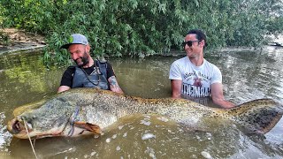 PESCE SILURO GIGANTE  LA PESCA A SPINNING 4K by YURI GRISENDI [upl. by Oiralih]