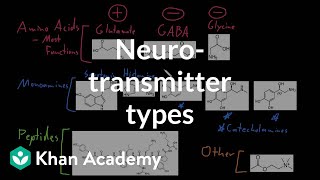 Types of neurotransmitters  Nervous system physiology  NCLEXRN  Khan Academy [upl. by Fredrick906]