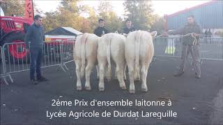 concours de bovins reproducteurs charolais à Montluçon 2018 [upl. by Azirb]