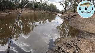 Fishing In Echuca With Cheese And Worms [upl. by Anileba785]