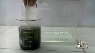 SEPARATE MIXTURE OF LEAD AND CADMIUM IONS BY PAPER CHROMATOGRAPHY  CHEMISRTY PRACTICAL [upl. by Sommers532]