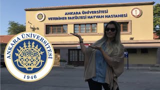 Üniversite Tercihleri  Ankara Üniversitesi Veteriner Fakültesi [upl. by Shelagh]