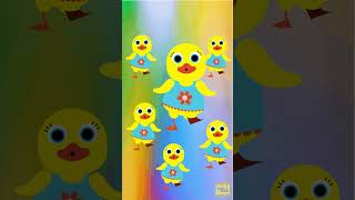 Five little ducks Ducks cartoon  Animation for kids  Duck dance  Shorts  Honey Bunch  kids [upl. by Grishilde]