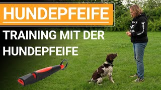 🐕🐶 Stephanie Salostowitz ➡️ Training mit der Hundepfeife ➡️ Praxisvideo 🐕🐶✔️ [upl. by Anelrats]