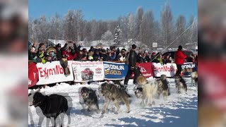 Alaskas Iditarod Trail Sled Dog Race Kicks Off [upl. by Dimitry143]