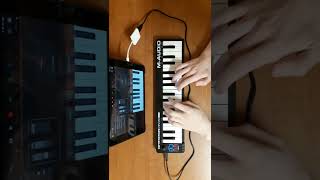 Boards of Canada  Beware the friendly stranger MIDI Keyboard cover [upl. by Gent276]