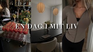 Vlog⎜Fashion haul er til event reformer og hygger i min lejlighed [upl. by Lindi]