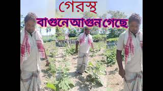 গেরস্থ ফাগুনের আগুন লাগছে [upl. by Ahcmis]