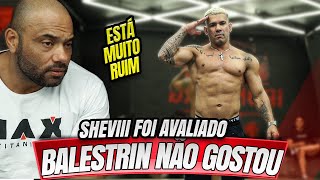 BALESTRIN NÃO GOSTOU DO SHAPE DO SHEVIII  AVALIAÇÃO [upl. by Strickman]