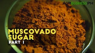 Muscovado sugar processing in the Philippines  Muscovado sugar Part 1 Agribusiness [upl. by Yrrot]