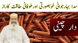 Dar Cheeni Cinnamon benefits of Dar Cheeni Abidbashir133 zakirnaik zakir rajabfamily duckybhai [upl. by Resa]