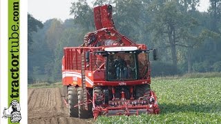 Grimme  6reihiger Zuckerrübenroder Rexor 630 wird vorgestellt  sugar beet harvest [upl. by Agrippina]