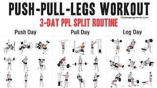 3 Day Push Pull Legs PPL Workout Routine [upl. by Bokaj]