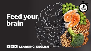 Feed your brain ⏲️ 6 Minute English [upl. by Brindell]