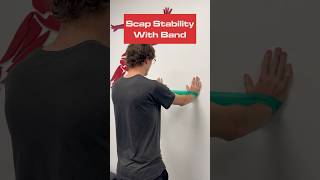 Banded Scapular Stability [upl. by Gilboa]