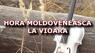 HORA MOLDOVENEASCA LA VIOARA [upl. by Lig]