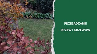 Jesienne prace w ogrodzie przesadzanie krzewów ozdobnych [upl. by Reggy]