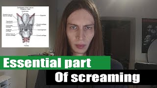 The thing youre missing in your screams  arytenoid cartilage screaming tutorial [upl. by Rehtse]