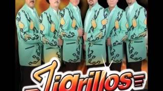 tigrillos  bailame despacito [upl. by Nnaeus703]