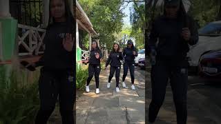 ANC women dancing challenge [upl. by Jacobson140]