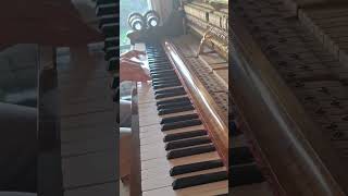 Beautiful arpeggiated Chord Progression Piano Improvisation [upl. by Glenna]