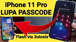 Cara Hapus Sandi iPhone 11 Pro yang Lupa Flash pakai 3utools saja [upl. by Hgielrahc811]