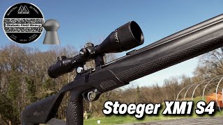 Stoeger XM1 with Air Arms Diabolo Field Heavy Pellets [upl. by Phaedra]