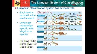 171 Linnaean system of classification [upl. by Esinned242]