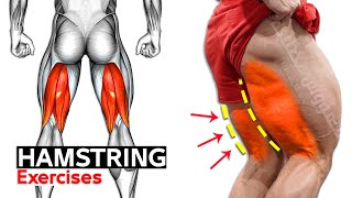 7 Easy Exercises Hamstring Workout  Leg Day [upl. by Zweig]