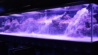 800 Aquarium pt2 Aquascape  Floating Shelf [upl. by Sibell499]