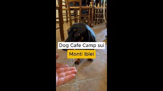 Due giorni sui Monti Iblei con i cani [upl. by Amjan]