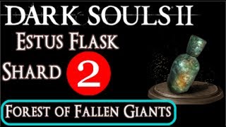 Estus Flask Shard 2  Forest of Fallen Giants  Dark Souls 2 Bone Dust Guide Walkthrough [upl. by Henri917]