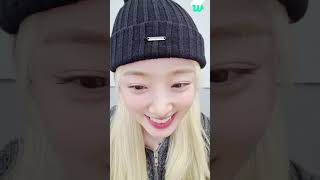 들어오세요오 😘😘  LIGHTSUM Weverse LIVE SUB 240223 [upl. by Ardnasxela]