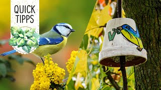 DIYIdee Futterspender Vogelfutter im Blumentopf selber machen  Volmary QuickTipps [upl. by Ramey]