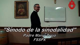 “Sínodo de la sinodalidad” Conferencia del Padre Mario TrejoFSSPX [upl. by Xad941]