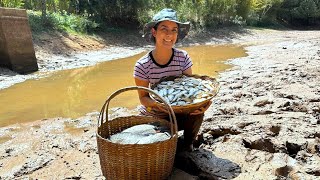 Tempo de seca fizemos a limpeza ecológica do açude e garantimos peixes para muitos dias [upl. by Elysia]