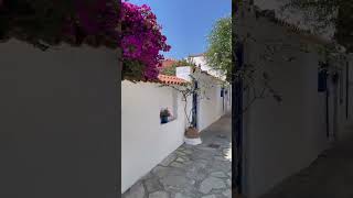 a beautiful street on Skopelos Island Greece [upl. by Todhunter179]